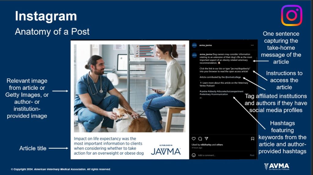 <b>Figure 4.</b> Anatomy of an Instagram post.